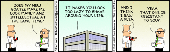 dilbert